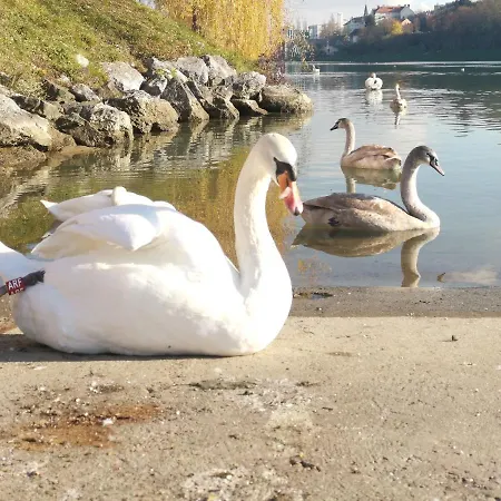 Apartment Lent Marburg