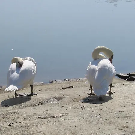 Lent Διαμέρισμα